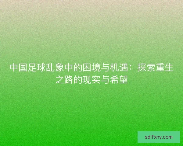中国足球乱象中的困境与机遇：探索重生之路的现实与希望